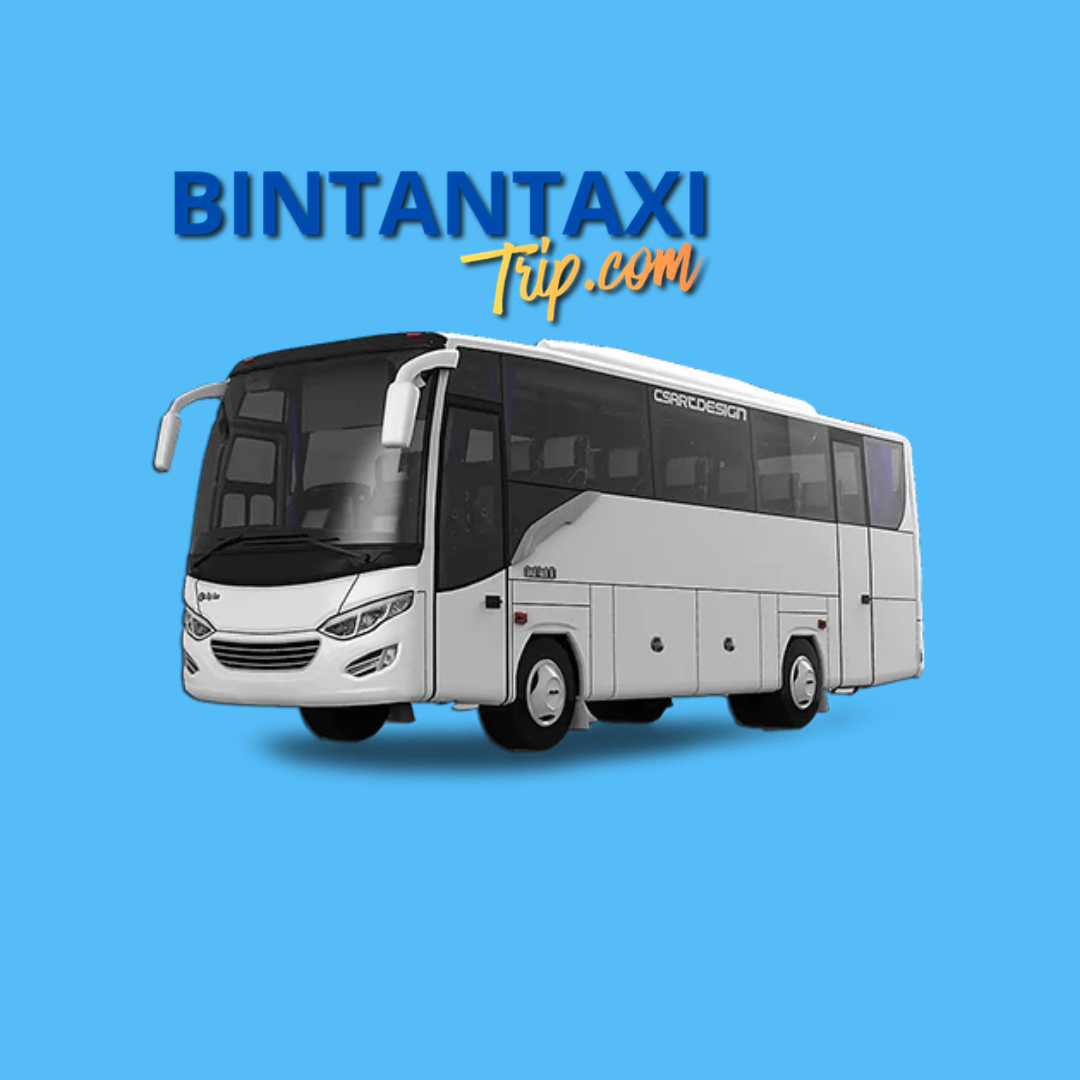 BUS 25/32 SEATER 8 HOURS